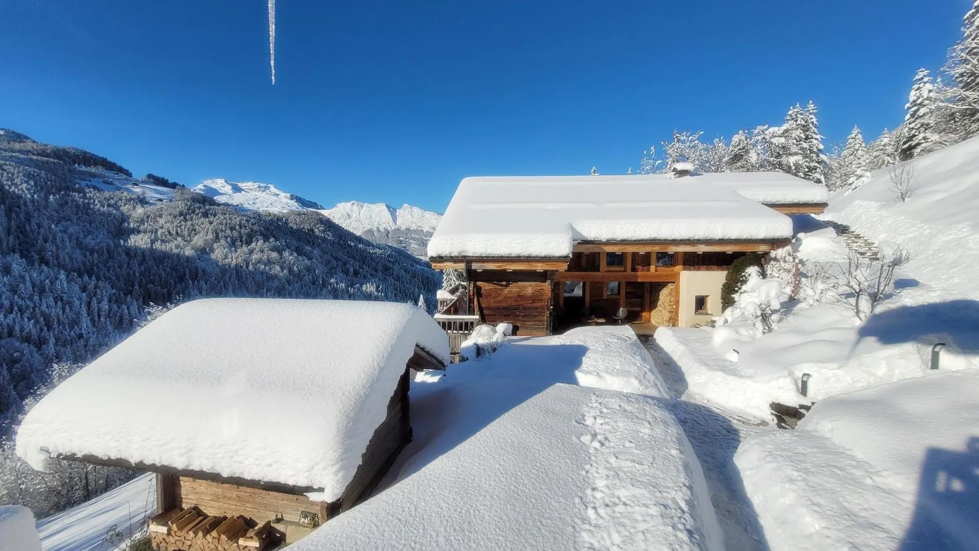 Chalet Les Brevins Manigod France