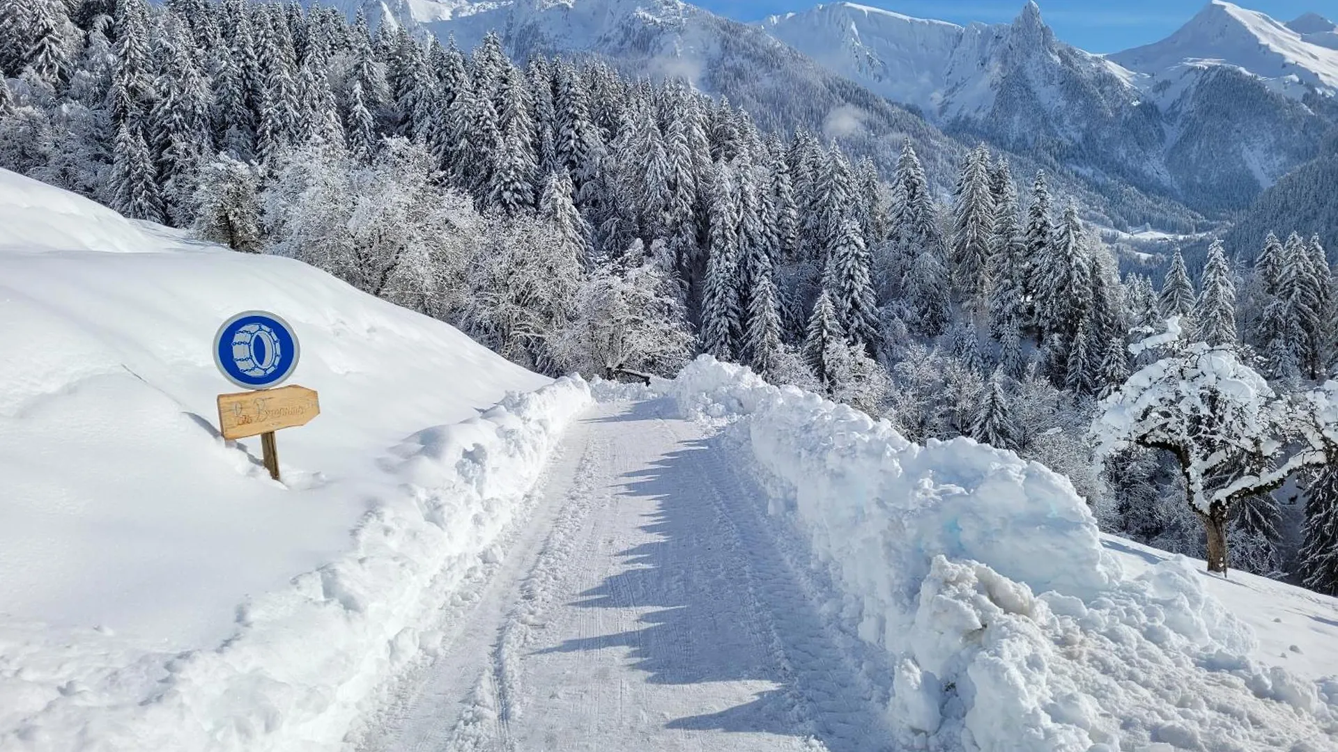 Chalet Les Brevins Manigod