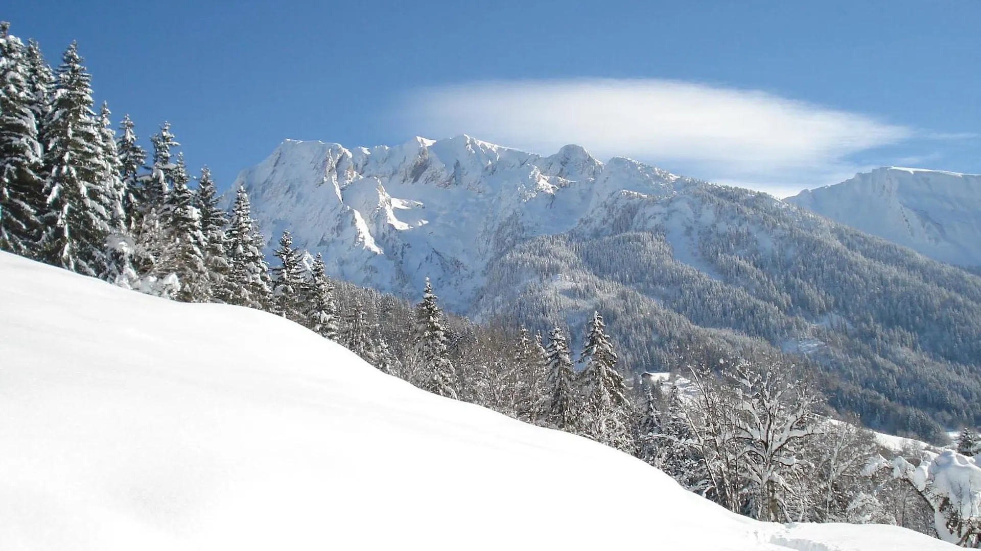 Chalet Les Brevins Manigod France